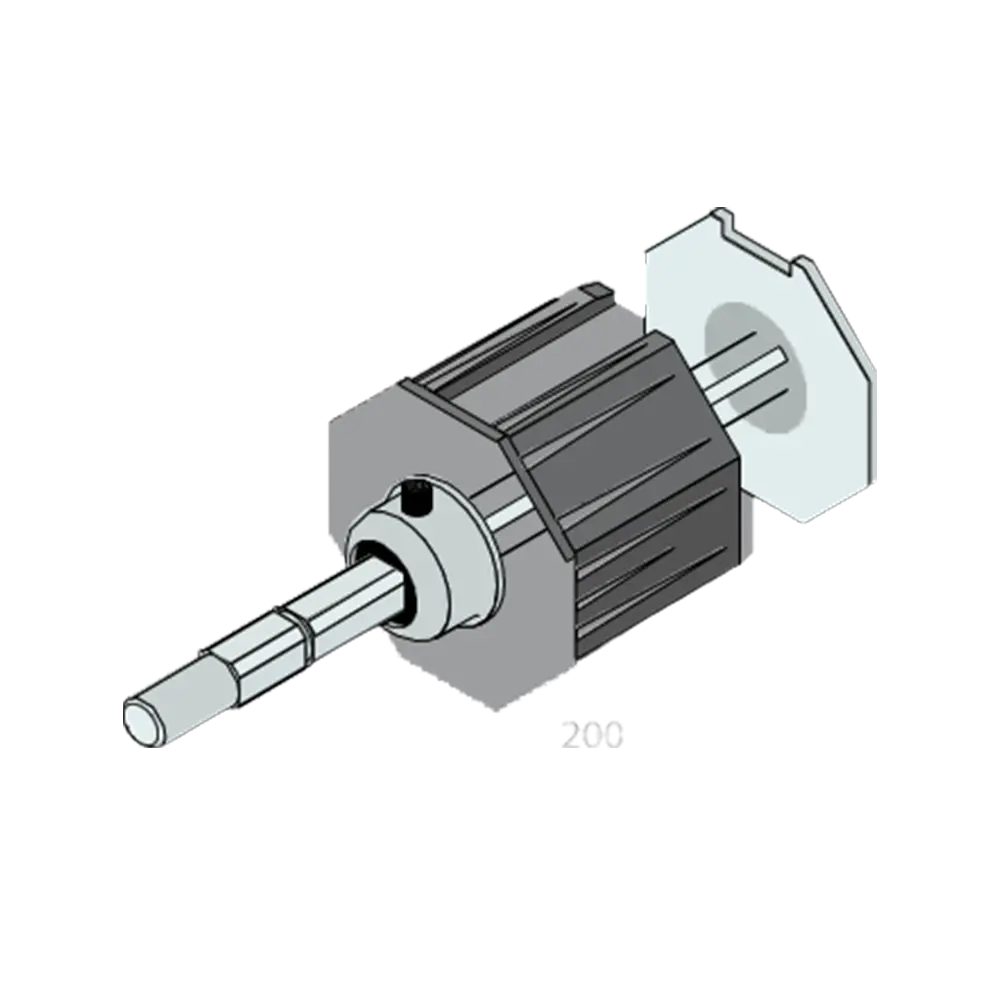 TÁNDEM OCTUBRE60 D12