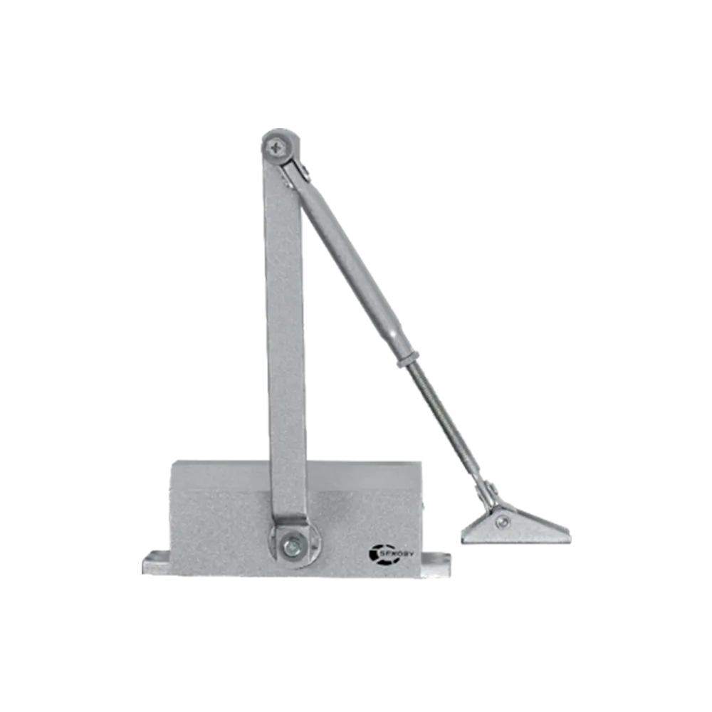 [SEGROOM] CERRADOR DE PUERTA DE BRAZO GRIS