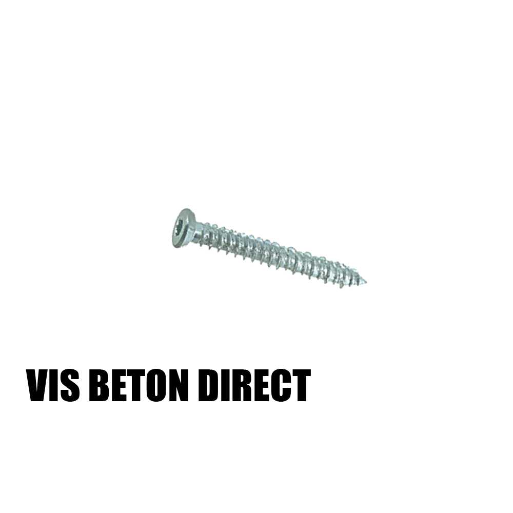 [VISBETON] Direct Concrete Screws ( 100 )
