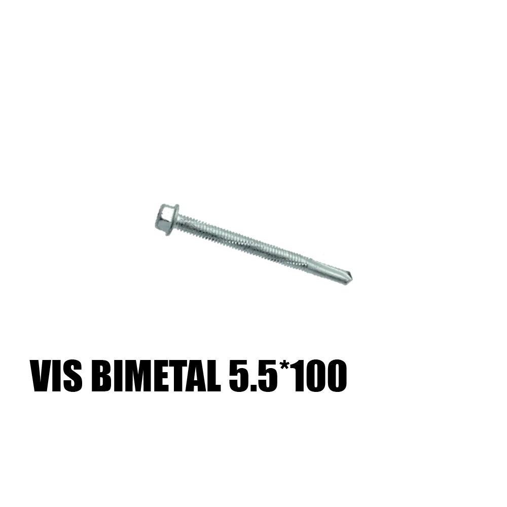 [VISBIMET5.5*100] HEXA HEAD BI-METAL SCREWS 5.5*100 (100)